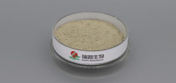 Ferrous Gluconate